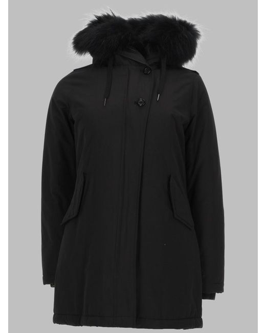 Canadian Black Chic Sports Jacket