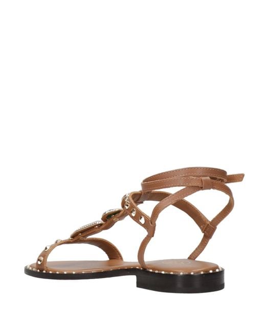 Ash Brown Sandals