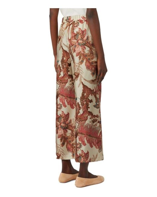 Weekend by Maxmara Brown Temide Pants