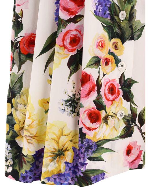 Garden Círculo impreso Círculo Dolce & Gabbana de color White