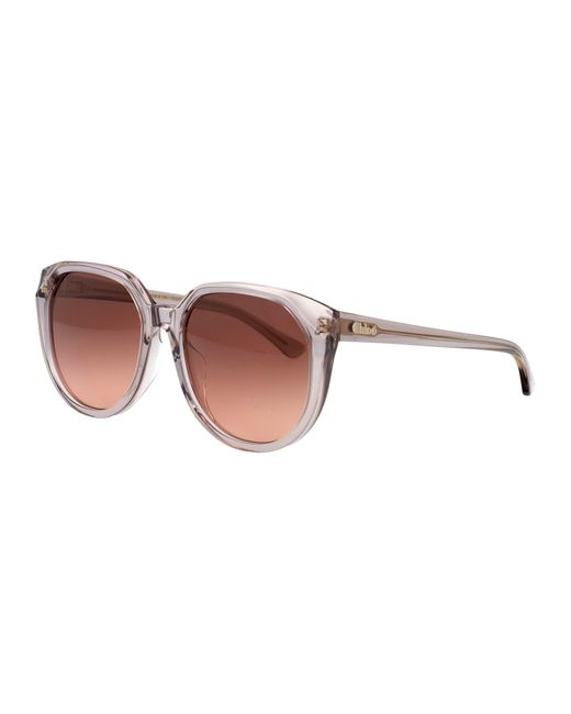 Chloé Brown Sunglasses