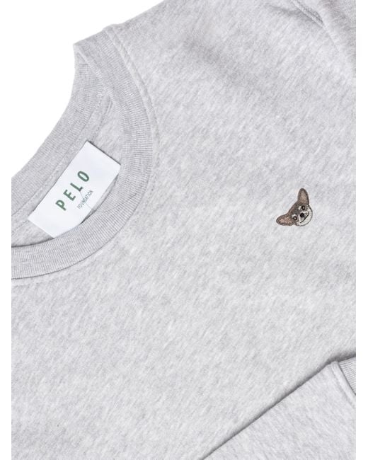 PELO FOUNDATION Sweatshirt in het Gray voor heren