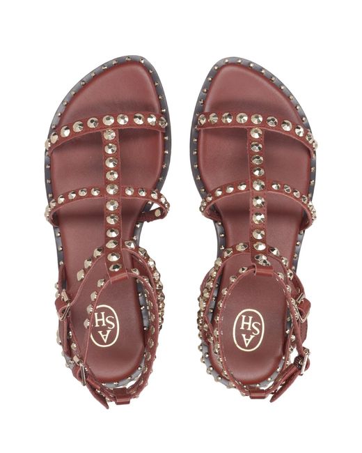Ash Brown Sandals