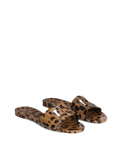 Dolce & Gabbana Multicolor Dolce & Gabbana Dg Logo Flat Sandals