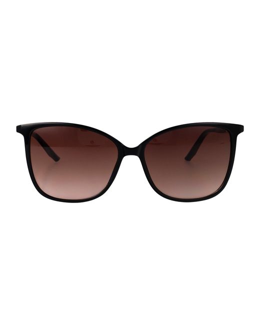 Calvin Klein Brown Injected Sunglasses