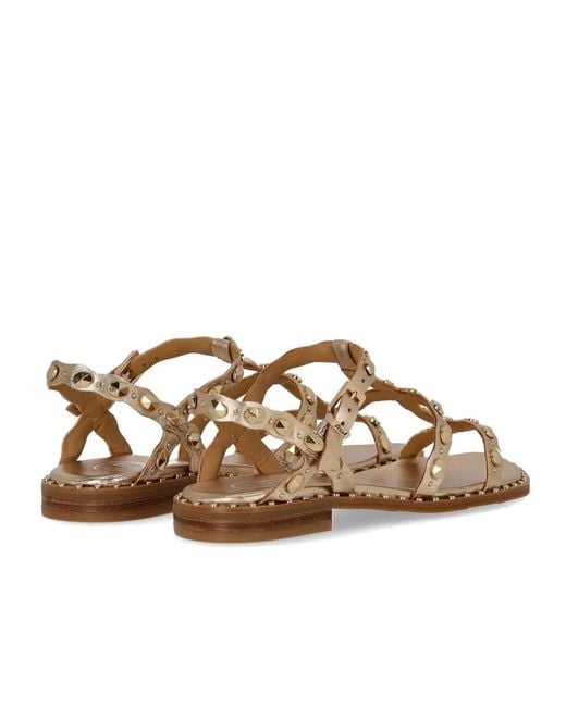 Ash Brown Plus Flat Sandal