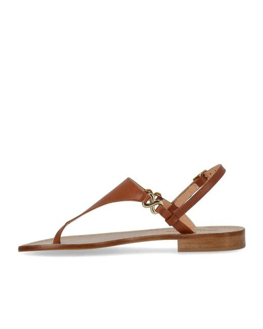 Paolo Ferrara Brown Thong Sandal