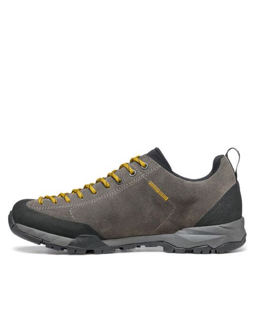 SCARPA Brown Mojito Trail Gtx