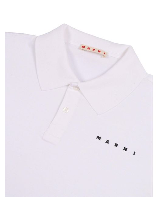 Marni Purple Mt309 U Cattle And Goats