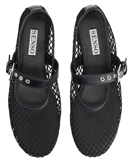 Senso Multicolor Senso