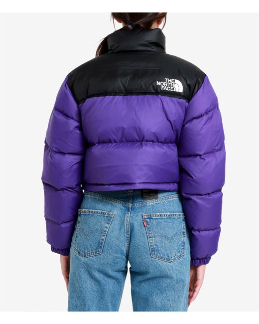 The North Face Purple Die Nordflächenmäntel
