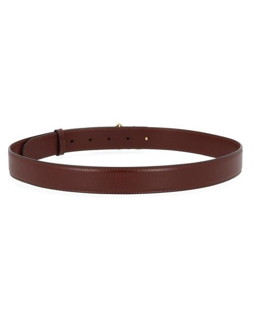 Chloé Brown Iconic Belt
