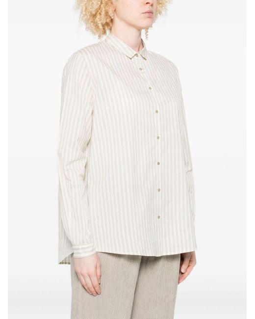 Apuntob White Striped Shirt