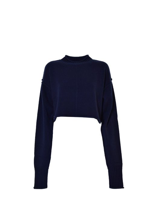 Pulls Sportmax en coloris Blue