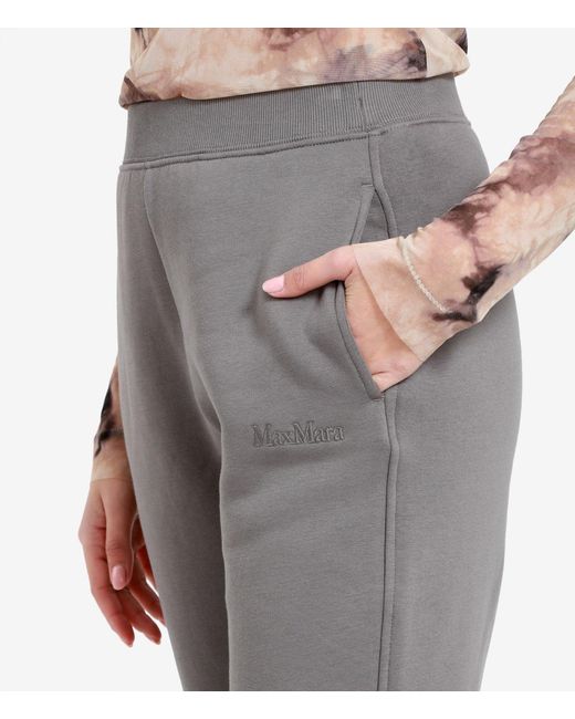Max Mara Gray Trousers