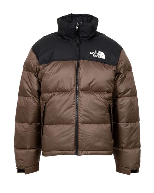 The North Face Brown Die Nordflächenbedeckungen braun