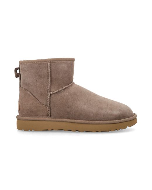 Scarpe Basse di Ugg in Brown