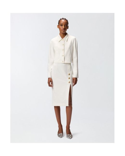 Rosa blanco Pinko de color White