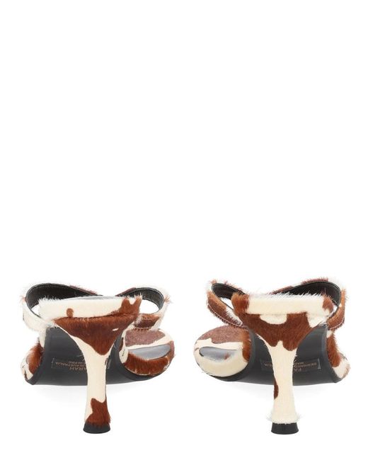 Senso Brown Sandalo "Farah" Con Tacco