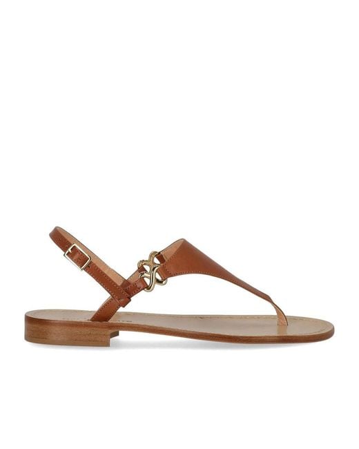 Paolo Ferrara Brown Thong Sandal
