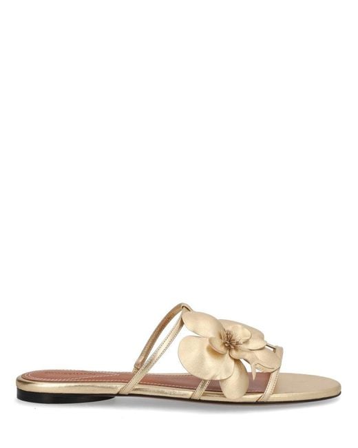 Zimmermann Natural Leather Flat