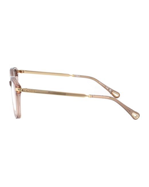 Chloé Multicolor Acetate Glasses