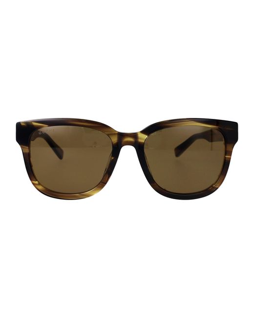 Gucci Brown Havana-Havana- Acetate Sunglasses