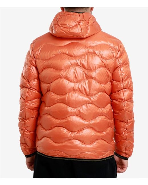 Blauer Jassen in het Orange