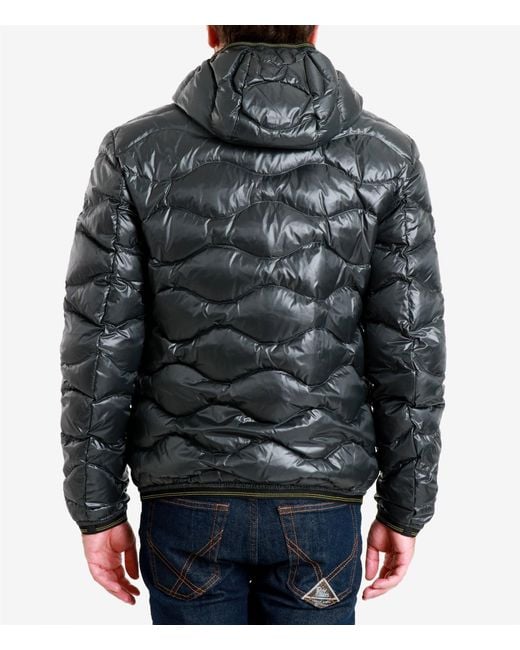 Blauer Blauwe Jassen in het Gray