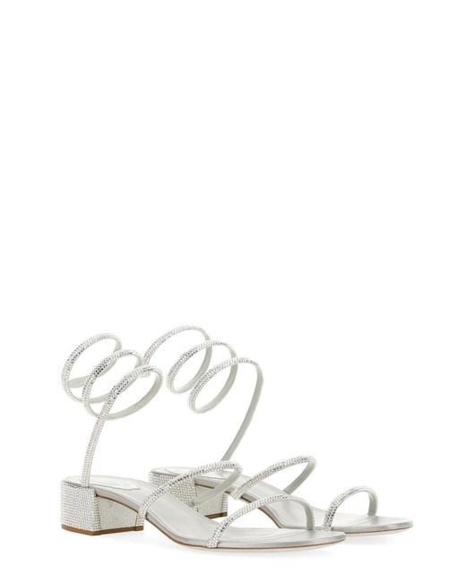 Rene Caovilla White Sandalo Cleo