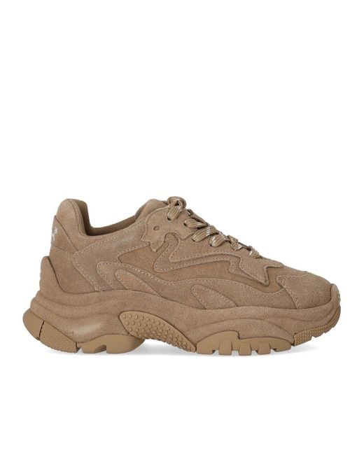 Ash Brown Addict Sneaker