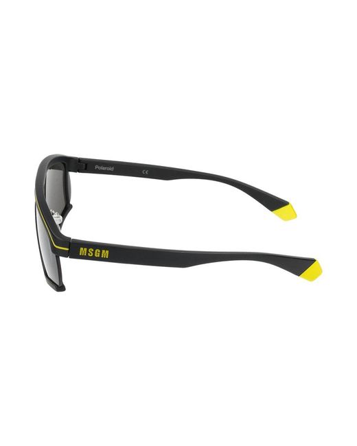 Polaroid Gray Sonnenbrille PLD MSGM 2/G 71 C Schwarz gelb/4/150