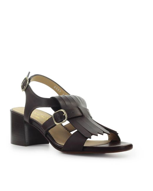 Doucal's Brown Dark Heeled Sandal