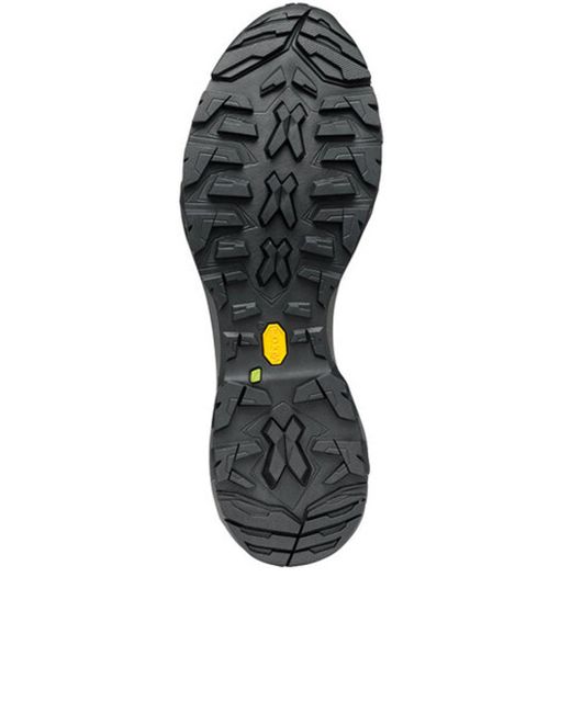 SCARPA Brown Mojito Trail Gtx