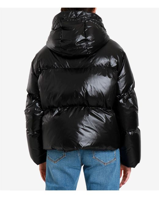 Fay Black Coats