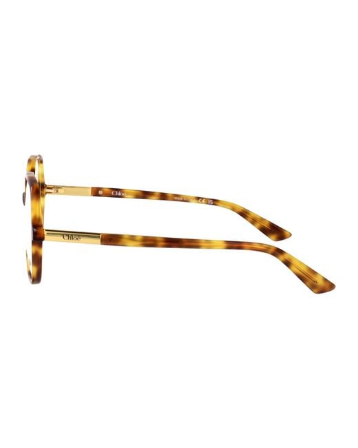 Chloé Brown Acetate Glasses
