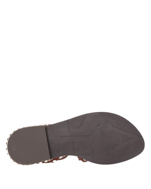 Ash Brown Sandals