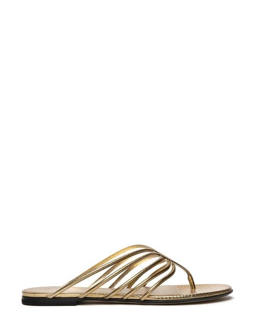 ALEVI Multicolor Flat Flip Flop Sandal With Thin Lizard Print Leather Straps