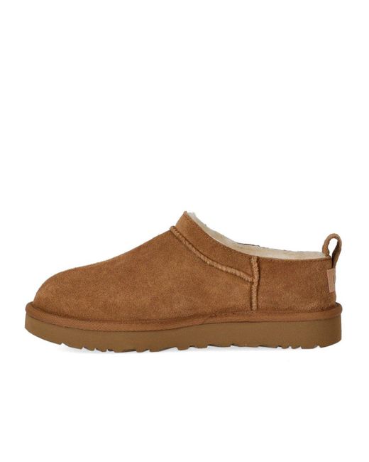 Ugg Brown Classic Micro Chestnut Boot