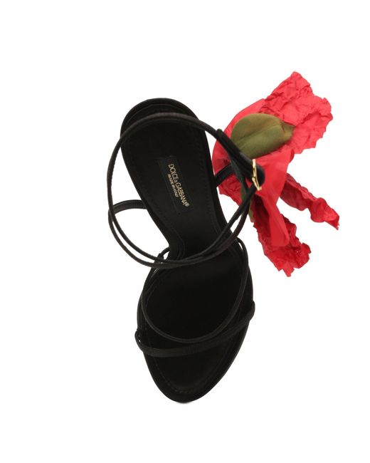 Dolce & Gabbana Red Keira Sandals
