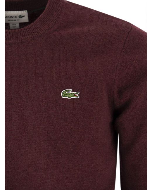 Lacoste Purple Crew Neck Pullover in Wollmischung