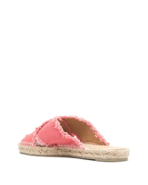 Castaner Pink Palmera/002 for men