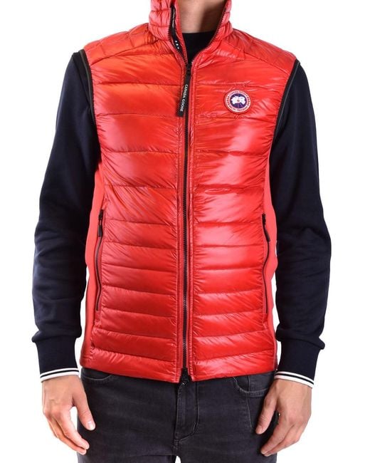 Canada Goose Canadese Gans Rood in het Red