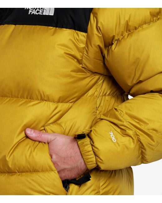 The North Face Yellow Coats