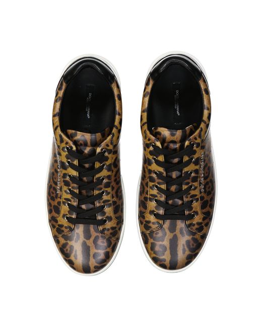 Dolce & Gabbana Brown Leather Sneaker for men