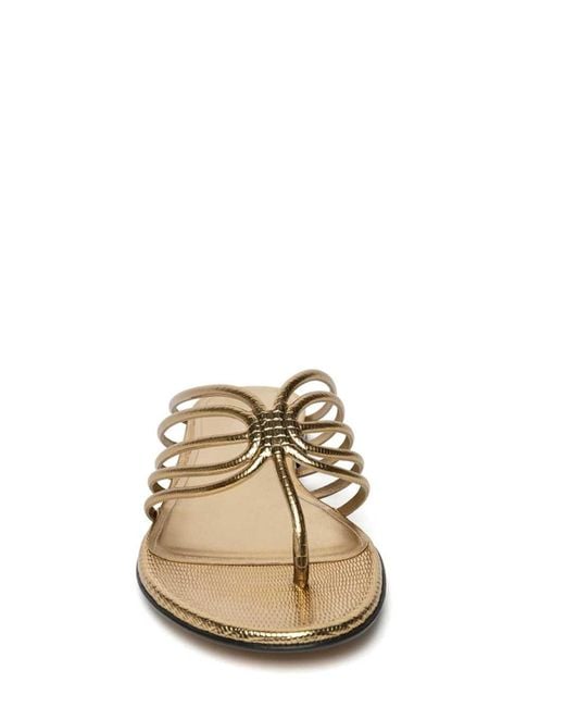 ALEVI Multicolor Flat Flip Flop Sandal With Thin Lizard Print Leather Straps