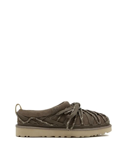 Ugg Gray W Tasman Lace