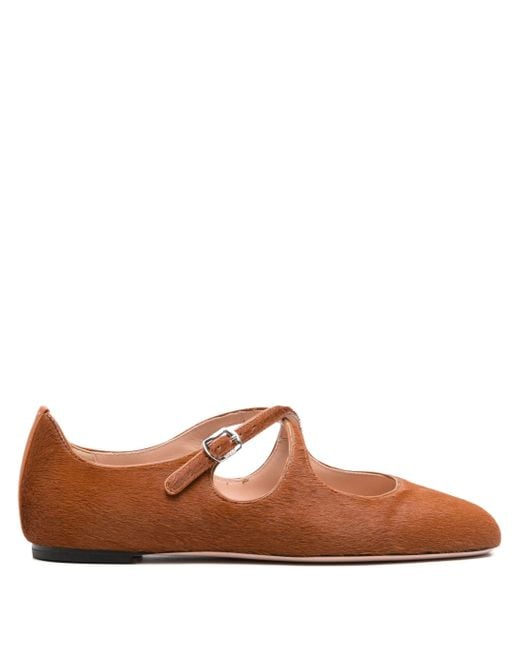 Bally Ballerina's Met Gespsluiting in het Brown