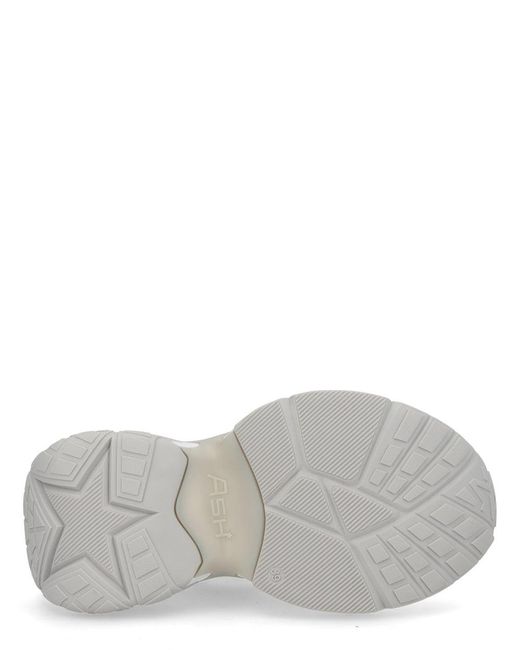 Ash White Dragon Sneaker