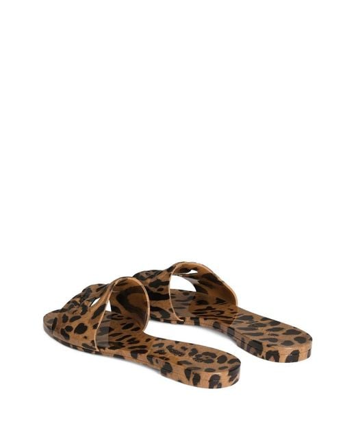 Dolce & Gabbana Multicolor Dolce & Gabbana Dg Logo Flat Sandals